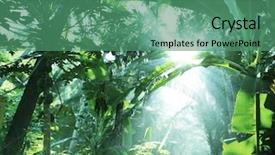 Presentation with vietnam - Presentation theme with jungle in vietnam background and a ocean colored foreground