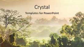  Presentation with vietnam - Theme featuring jungle in vietnam background and a lemonade colored foreground