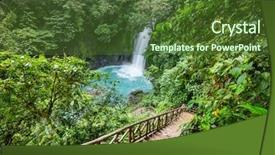  Presentation with tropical rainforest - Beautiful slides featuring jungle of costa rica tropical backdrop and a tawny brown colored foreground