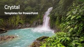  Presentation with tropical rainforest - Beautiful presentation theme featuring jungle of costa rica tropical backdrop and a tawny brown colored foreground