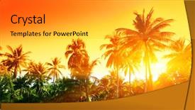  Presentation with jungle - Beautiful presentation design featuring jungle of thailand backdrop and a light gray colored foreground