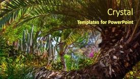  Presentation with jungle - PPT theme having baobab - jungle park at tenerife canary background and a tawny brown colored foreground
