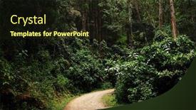  Presentation with colombia - Theme enhanced with jungle path in cordiliera central colombia south america background and a wine colored foreground