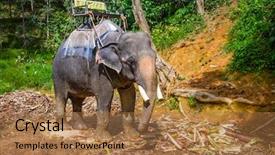  Presentation with trekking - Colorful presentation theme enhanced with inflating the automobile wheels via backdrop and a dark gray colored foreground