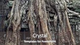  Presentation with jungle - Amazing PPT theme having kambucha - jungle tree covering the stones backdrop and a dark gray colored foreground