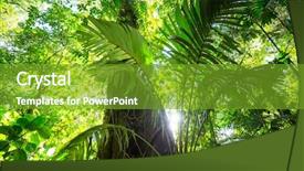  Presentation with costa rica - Presentation theme having jungle vine - misty rainforest in costa rica background and a tawny brown colored foreground