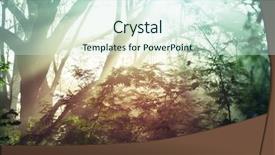  Presentation with rainforest - Audience pleasing theme consisting of jungle vine - misty rainforest in costa rica backdrop and a cool aqua colored foreground