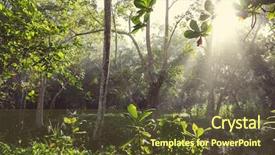  Presentation with costa rica - Audience pleasing PPT theme consisting of jungle vine - misty rainforest in costa rica backdrop and a tawny brown colored foreground