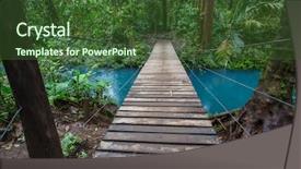  Presentation with rainforest - PPT theme consisting of jungle vine - misty rainforest in costa rica background and a tawny brown colored foreground