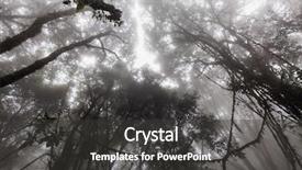  Presentation with forest morning - PPT layouts having jungle vine - misty tropical forest in early background and a dark gray colored foreground