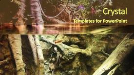  Presentation with vine - Cool new slide deck with jungle vine - photo of a nature scene backdrop and a  colored foreground