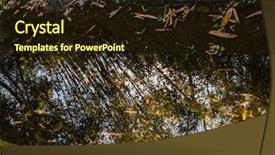  Presentation with tree river - Slides having jungle vine - tranquil river with reflection background and a wine colored foreground