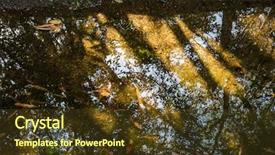  Presentation with tree river - Audience pleasing theme consisting of jungle vine - tranquil river with reflection backdrop and a tawny brown colored foreground