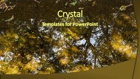  Presentation with tree river - Cool new slides with jungle vine - tranquil river with reflection backdrop and a tawny brown colored foreground