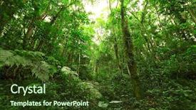  Presentation with jungle - Theme featuring jungle background and a tawny brown colored foreground