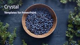  Presentation with berries - Amazing PPT layouts having juniper berries on and beside backdrop and a ocean colored foreground