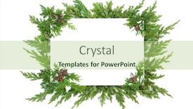  Presentation with winter border - Presentation theme enhanced with juniper-fir-cedar-cypress-leylandii background and a mint green colored foreground
