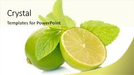  Presentation with mint - Audience pleasing PPT theme consisting of jus de fruit - limes and mint isolated backdrop and a blonde colored foreground