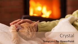  Presentation with cat - Audience pleasing theme consisting of just-chilling-by-the-fireplace backdrop and a coral colored foreground