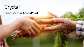  Presentation with carrots - Slide deck enhanced with just picked carrots in hand background and a cool aqua colored foreground