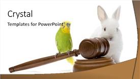 Presentation with animal rights - Presentation design with justice for animals background and a white colored foreground