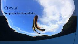  Presentation with juvenile - Colorful presentation theme enhanced with juvenile-spadefish-batfish backdrop and a light blue colored foreground