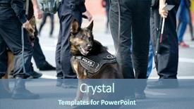  Presentation with police dog - Colorful presentation theme enhanced with k9 unit - smart police dog sitting outdoors backdrop and a ocean colored foreground