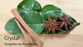  Presentation with star - Presentation enhanced with sides of the pod shown background and a coral colored foreground