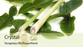  Presentation with smell - Slide deck having kaffir lime leaves impart a wonderfully aromatic smell and flavour to and are an essential ingredient in many thai recipes background and a soft green colored foreground