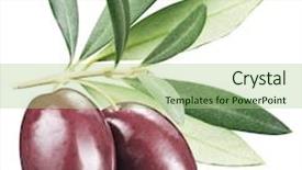  Presentation with paths - Audience pleasing slide deck consisting of kalamata olives with leaves on a white background file contains clipping paths backdrop and a mint green colored foreground