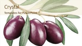  Presentation with paths - Audience pleasing PPT theme consisting of kalamata olives with leaves on a white background file contains clipping paths backdrop and a cream colored foreground