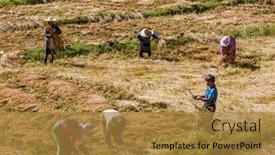  Presentation with december - 