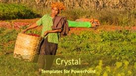  Presentation with tribe - 