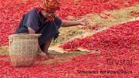  Presentation with tribe - 