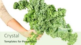 Presentation with healthy nutrition - Presentation design having kale-cabbage-healthy-diet background and a mint green colored foreground