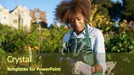  Presentation with agriculture african - Presentation enhanced with kale in communal urban background and a tawny brown colored foreground