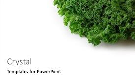  Presentation with king - Amazing presentation theme having kale king of nutrition a kale leaf isolated on white backdrop and a white colored foreground