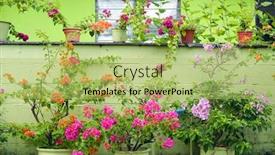  Presentation with kuala lumpur - Audience pleasing slide set consisting of kampung-baru-in-kuala-lumpur backdrop and a mint green colored foreground