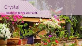  Presentation with kuala lumpur - Beautiful slide set featuring kampung-baru-in-kuala-lumpur backdrop and a lemonade colored foreground