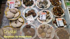  Presentation with sea shells - 