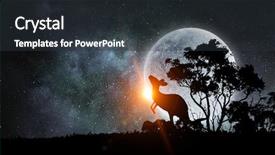  Presentation with safari - Slides featuring kangaroo - natural safari landscape background and a dark gray colored foreground