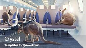  Presentation with kangaroo - PPT theme enhanced with kangaroo in the airplane cabin background and a ocean colored foreground