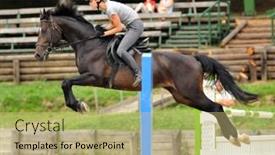  Presentation with champion - Presentation with kaposvar-hungary-august-5-leila background and a yellow colored foreground