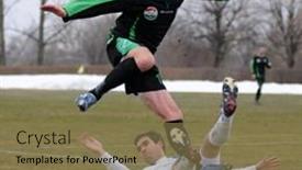  Presentation with pest - 