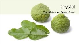  Presentation with tea leaves fresh green leaf - Beautiful theme featuring karir - kaffir limes and leaves backdrop and a blonde colored foreground