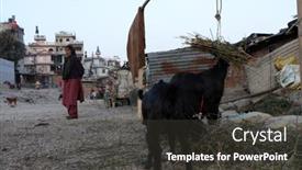  Presentation with kathmandu - 