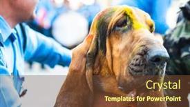  Presentation with school police - Audience pleasing theme consisting of kathmandu-nepal-november-6-2018 backdrop and a tawny brown colored foreground