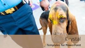  Presentation with school police - Cool new slides with kathmandu-nepal-november-6-2018 backdrop and a coral colored foreground