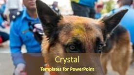  Presentation with school police - Theme having kathmandu-nepal-november-6-2018 background and a tawny brown colored foreground