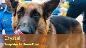  Presentation with school police - Audience pleasing PPT layouts consisting of kathmandu-nepal-november-6-2018 backdrop and a tawny brown colored foreground